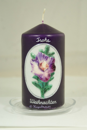 Weihnachten / Winter 231